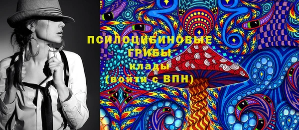 МДПВ Алексеевка